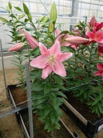 [5674 VZ W09 0952-02 No01.JPG]